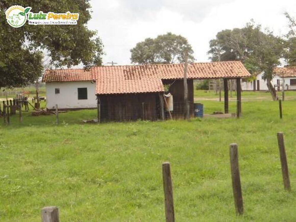 Terreno, 9 hectares - Foto 4