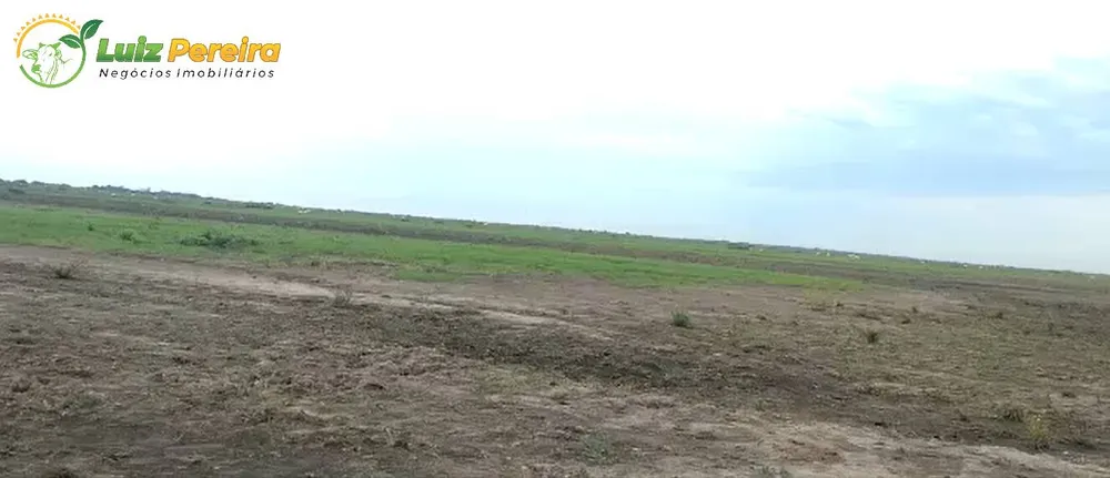 Terreno, 9 hectares - Foto 18