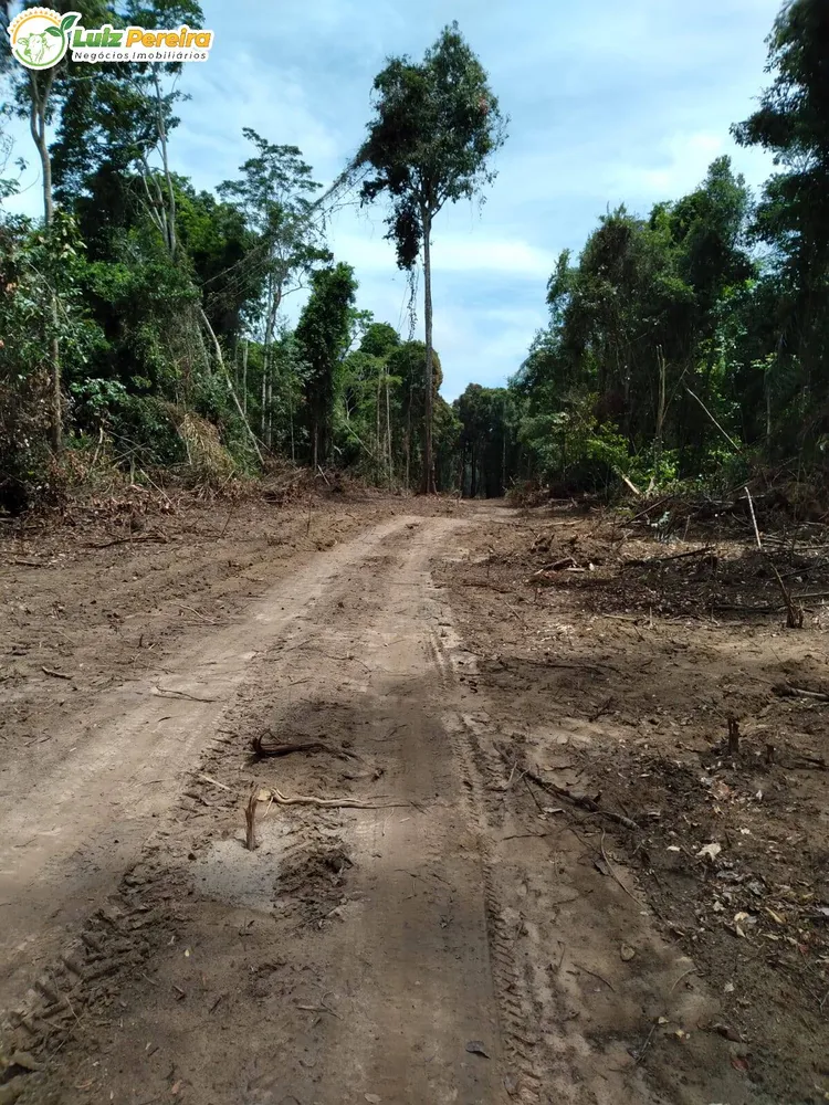 Terreno, 2010 m² - Foto 4