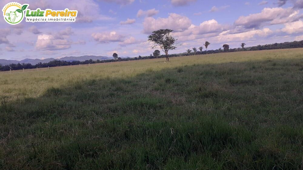 Terreno à venda, 31460000m² - Foto 2