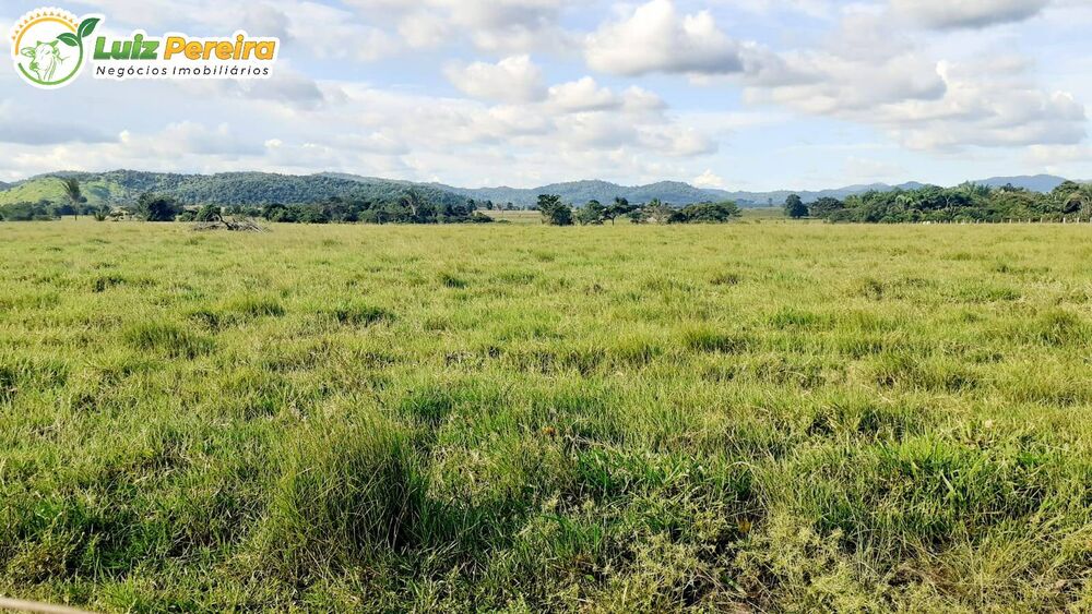Terreno à venda, 31460000m² - Foto 3
