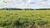 Terreno, 3146 hectares - Foto 3