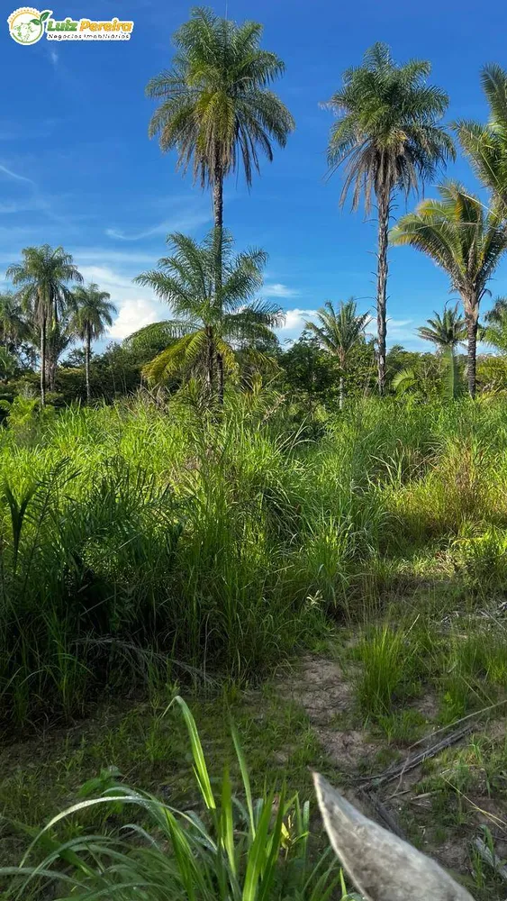 Terreno, 1500 m² - Foto 2