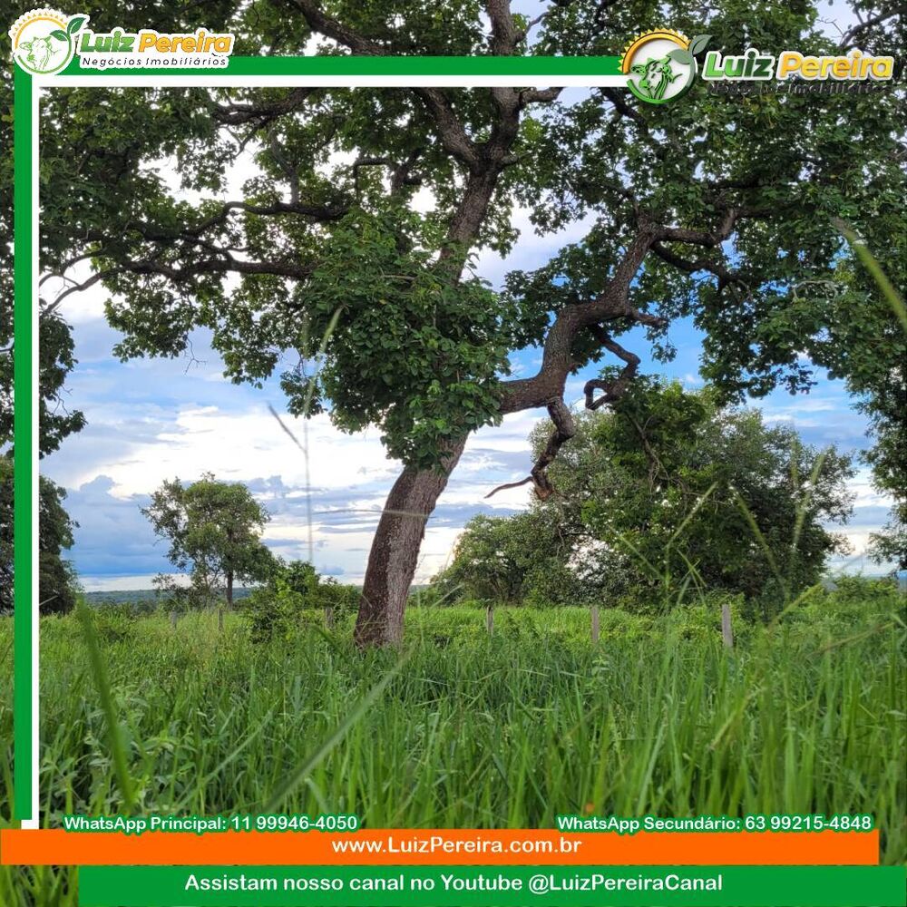 Terreno, 609 m² - Foto 3