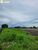 Terreno, 1383 hectares - Foto 4