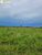 Terreno, 1383 hectares - Foto 2