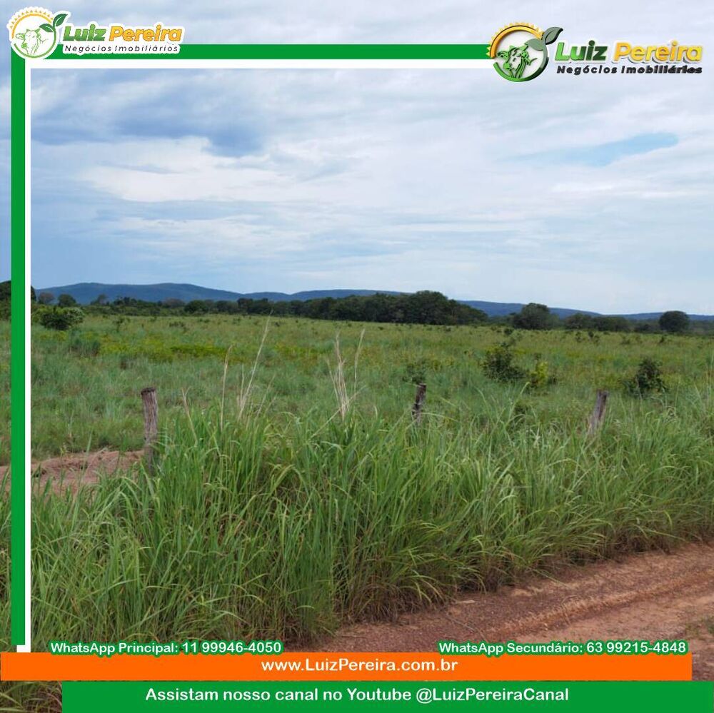 Terreno, 1277 m² - Foto 2