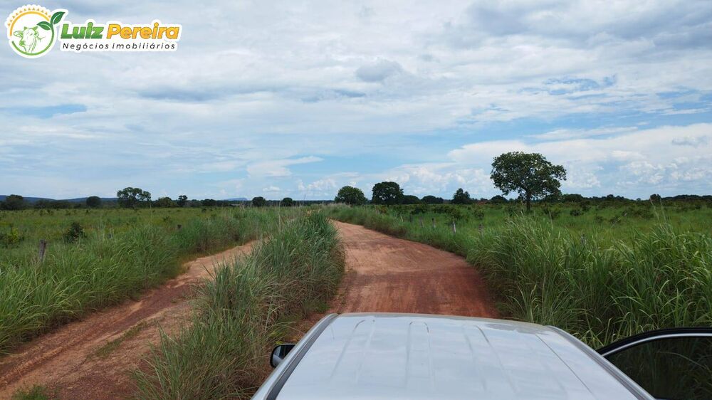 Terreno, 1277 m² - Foto 9