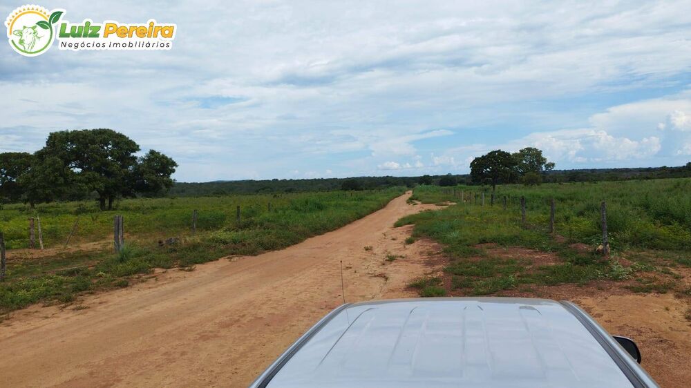 Terreno, 1277 m² - Foto 6