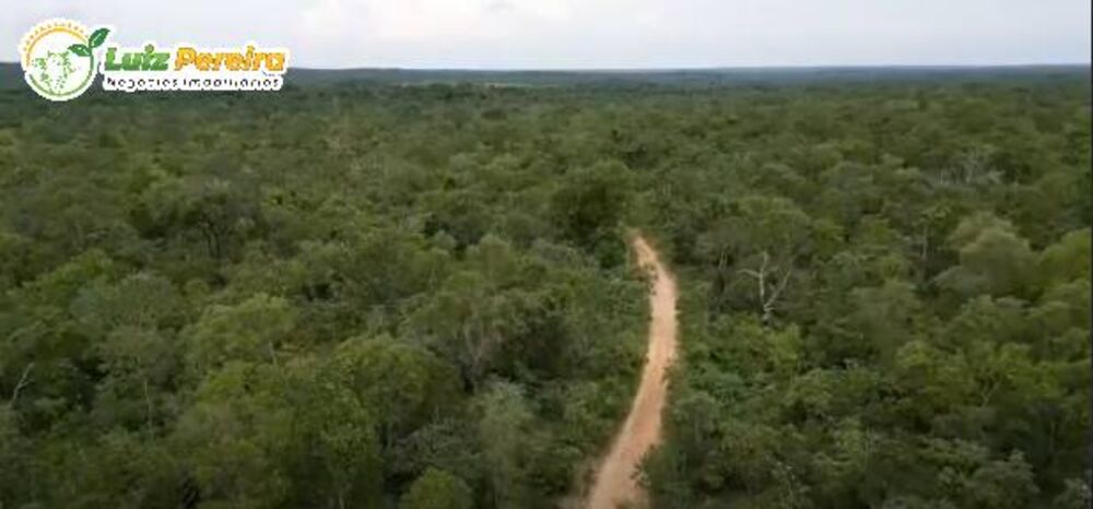 Terreno, 340 hectares - Foto 1