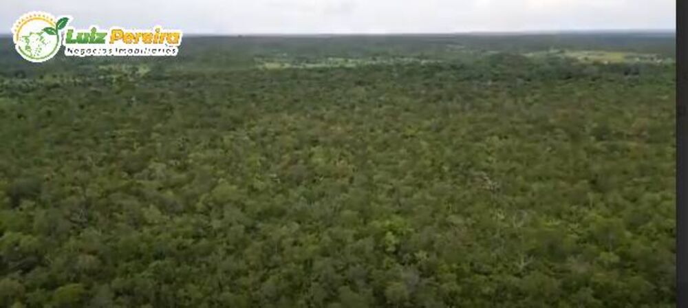 Terreno, 340 hectares - Foto 2