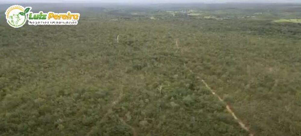 Terreno, 340 hectares - Foto 3
