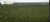 Terreno, 340 hectares - Foto 2