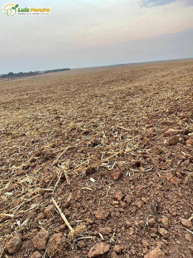 Terreno, 3600 m² - Foto 6