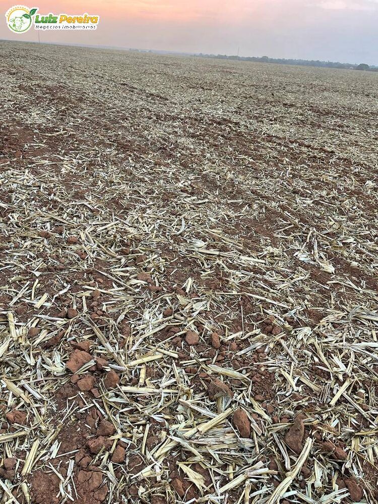 Terreno, 3600 m² - Foto 1