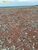 Terreno, 3600 m² - Foto 2
