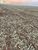 Terreno, 3600 m² - Foto 1