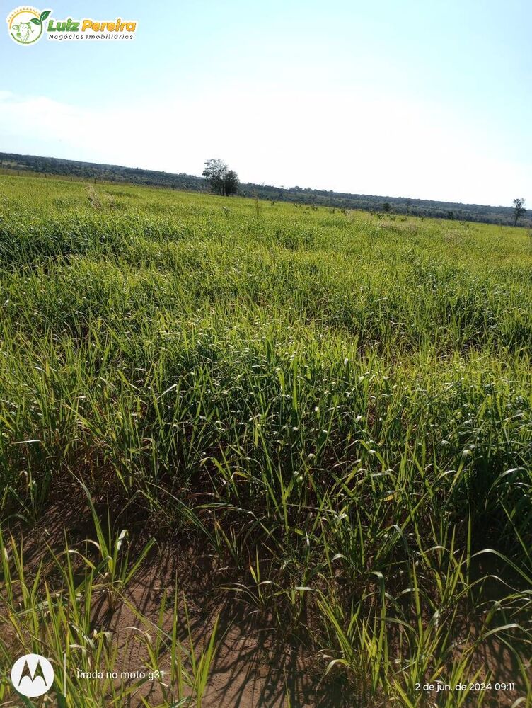 Terreno, 203 m² - Foto 4