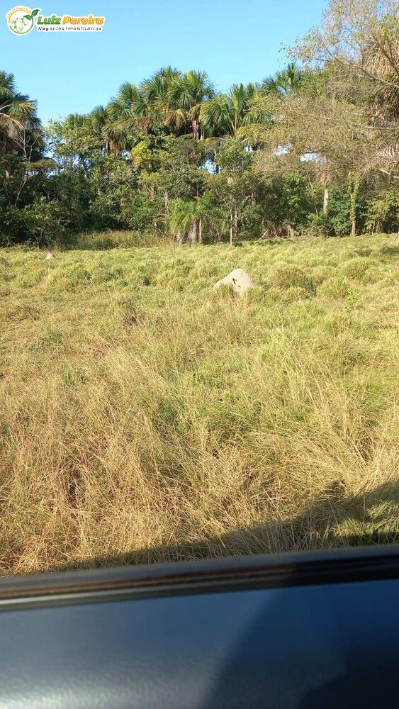 Terreno, 1016 hectares - Foto 12