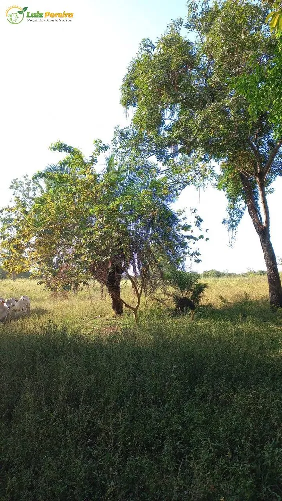 Terreno, 1016 hectares - Foto 8