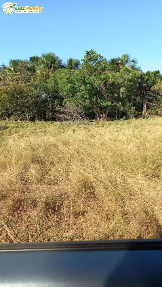 Terreno, 1016 hectares - Foto 1