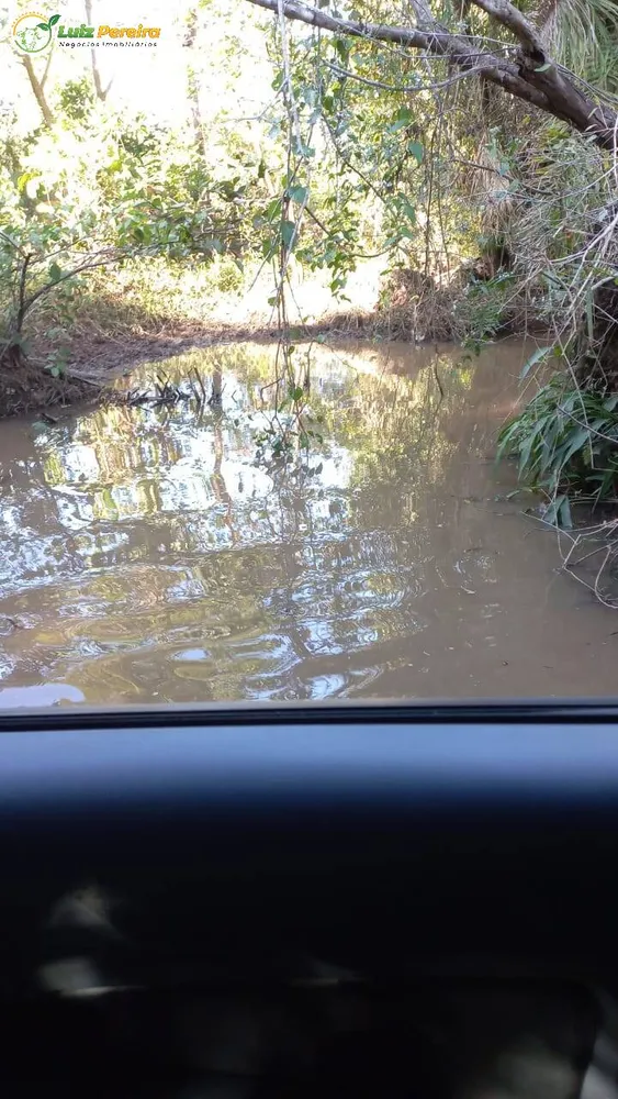 Terreno, 1016 hectares - Foto 4