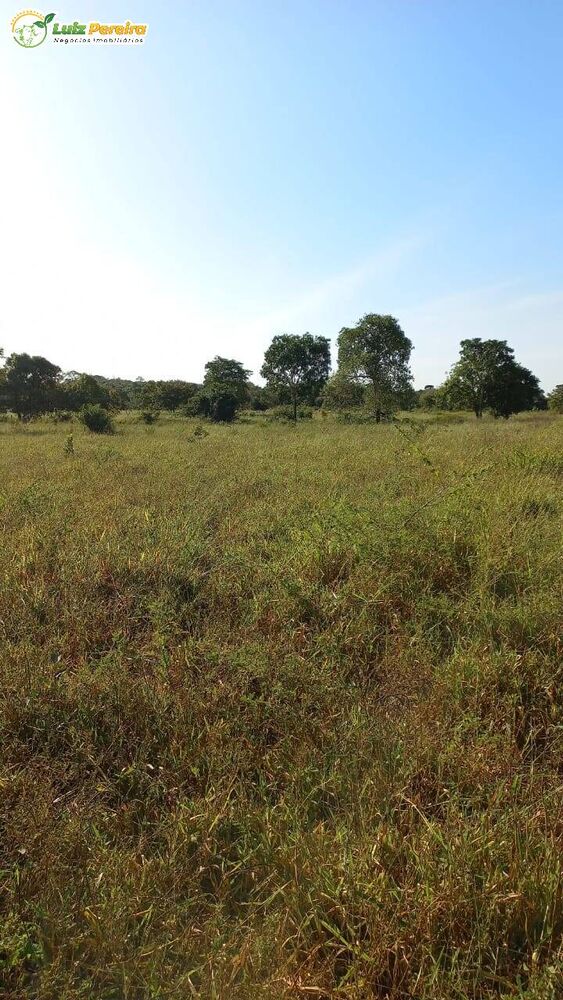 Terreno, 1016 hectares - Foto 11