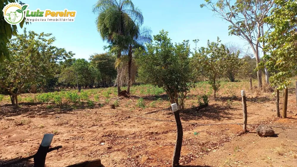 Terreno, 1016 hectares - Foto 18