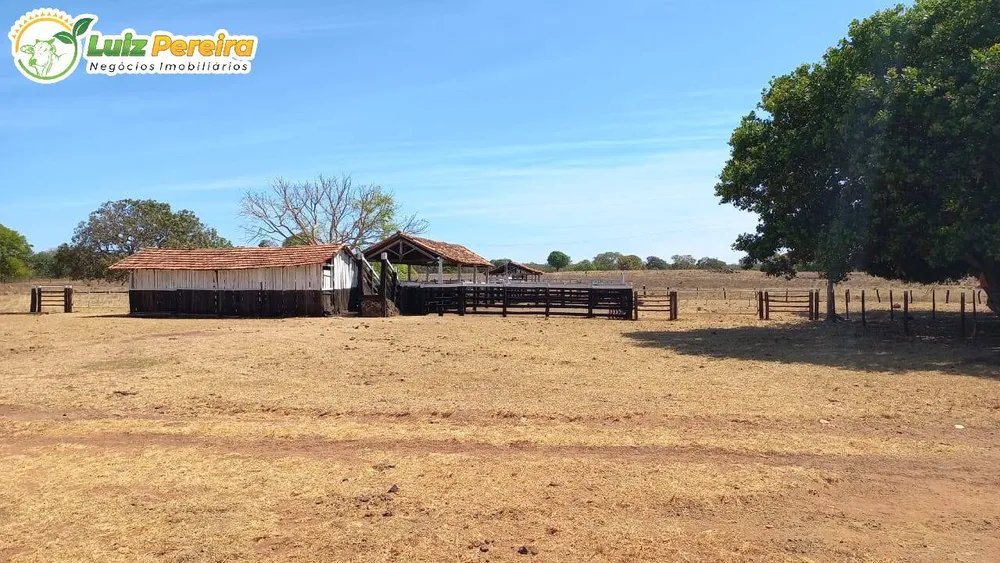 Terreno, 1016 hectares - Foto 10