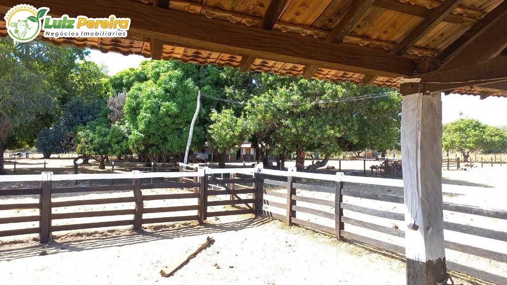 Terreno, 1016 hectares - Foto 15