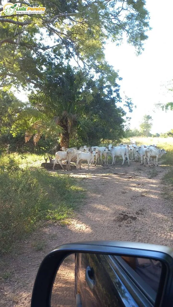Terreno, 1016 hectares - Foto 1