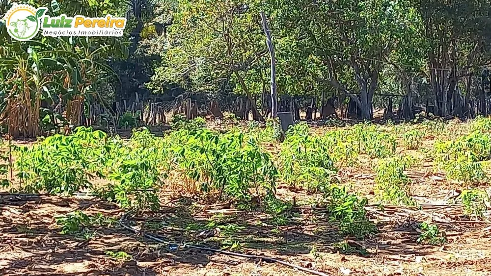 Terreno, 1016 hectares - Foto 6