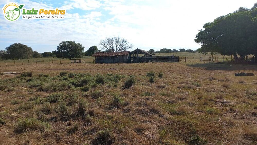 Terreno, 1016 hectares - Foto 9