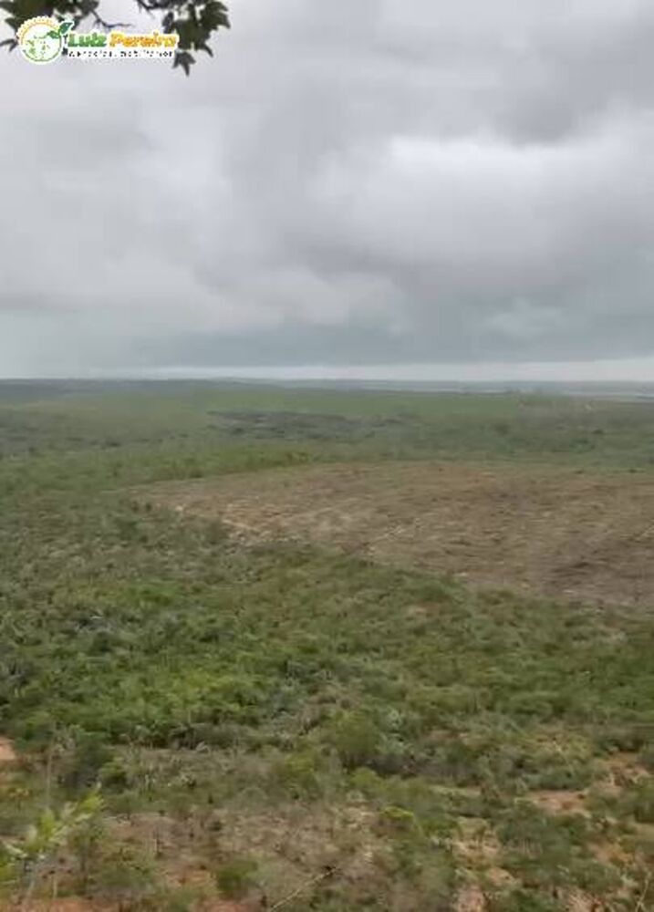 Terreno, 2904 m² - Foto 3