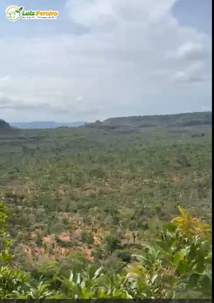 Terreno, 2904 m² - Foto 1