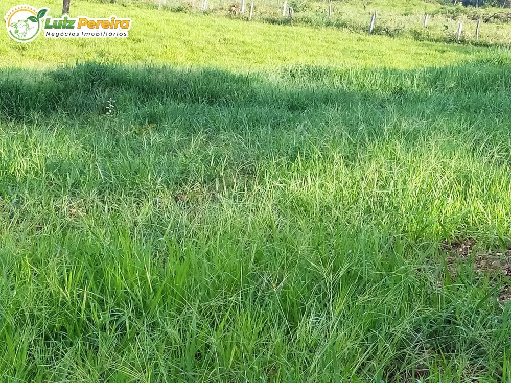 Terreno, 1118 m² - Foto 6