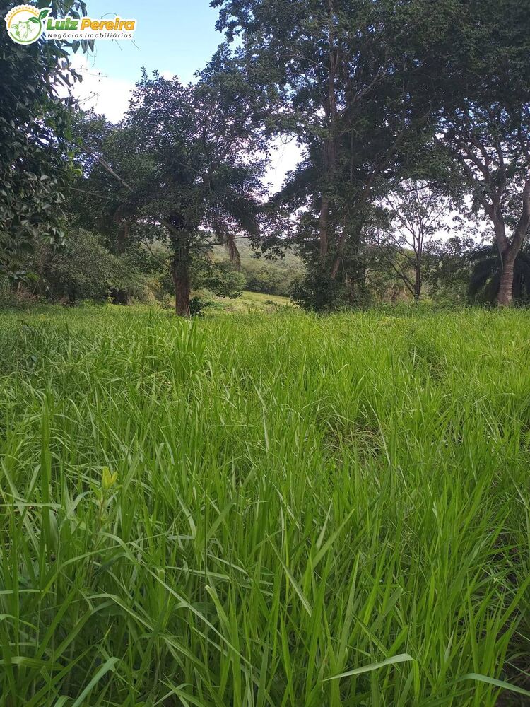 Terreno, 74 m² - Foto 4