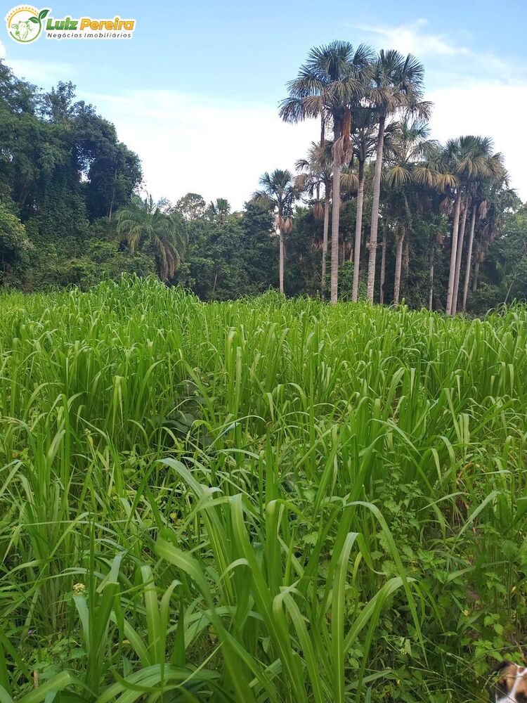 Terreno, 74 m² - Foto 2