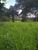 Terreno, 74 m² - Foto 4