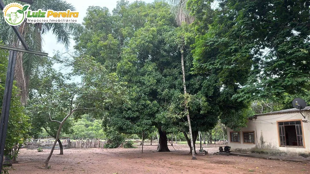 Terreno, 10000 m² - Foto 7