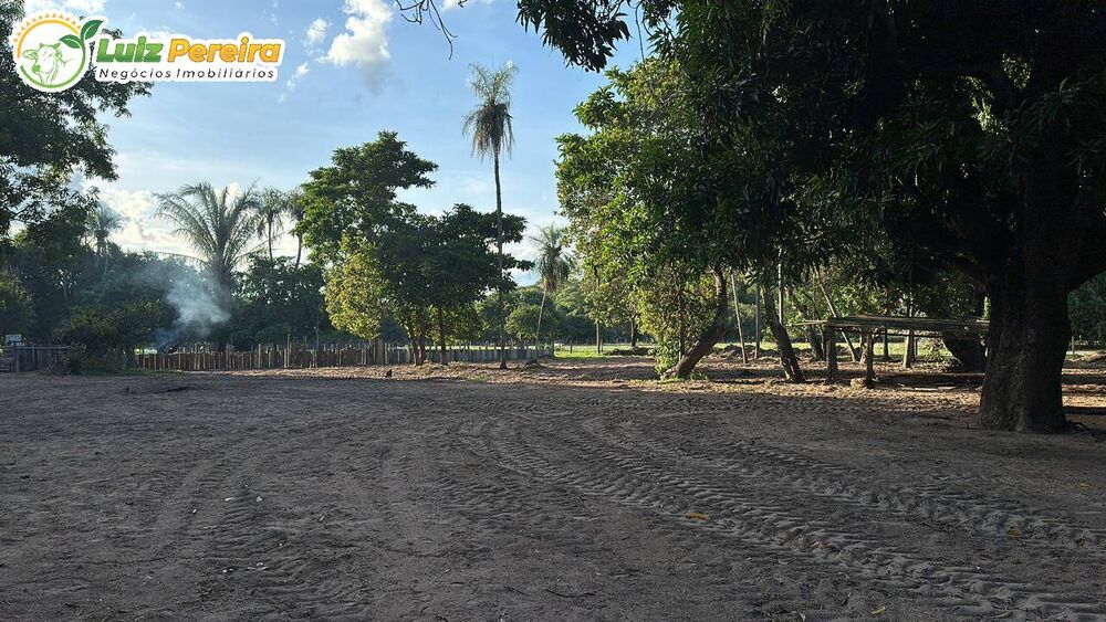 Terreno, 10000 m² - Foto 2