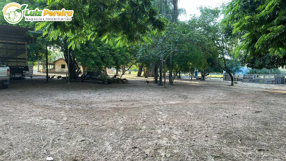 Terreno, 10000 m² - Foto 10