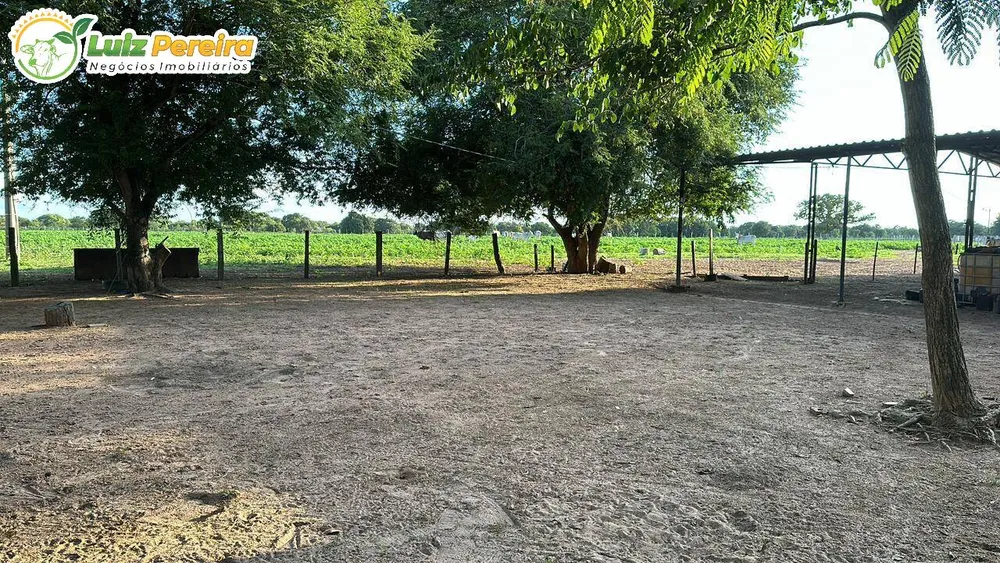 Terreno, 10000 m² - Foto 9