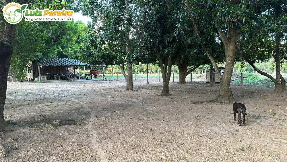 Terreno, 10000 m² - Foto 11