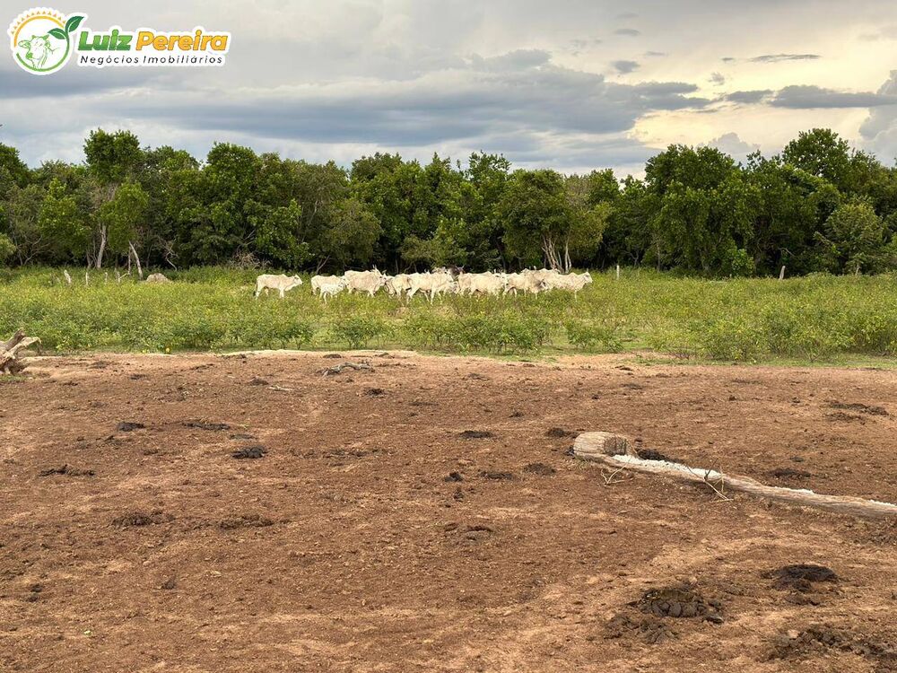 Terreno, 10000 m² - Foto 4