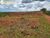 Terreno, 15700 hectares - Foto 4