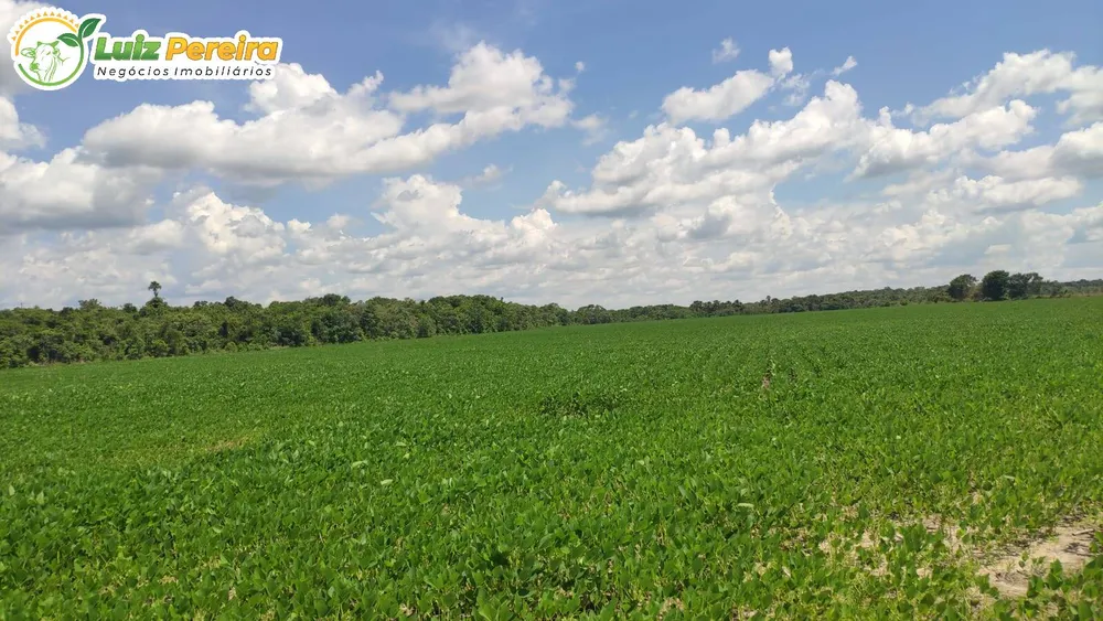 Terreno, 692 m² - Foto 11