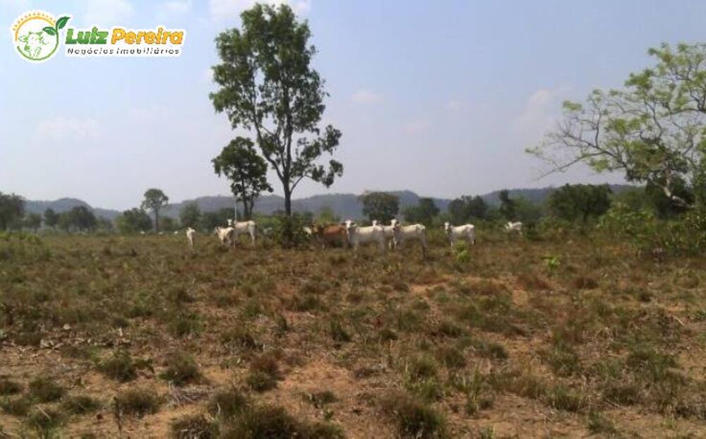 Terreno, 4840 hectares - Foto 2