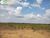 Terreno, 300 m² - Foto 2