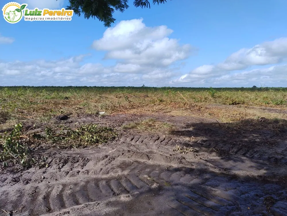 Terreno, 7800 m² - Foto 5